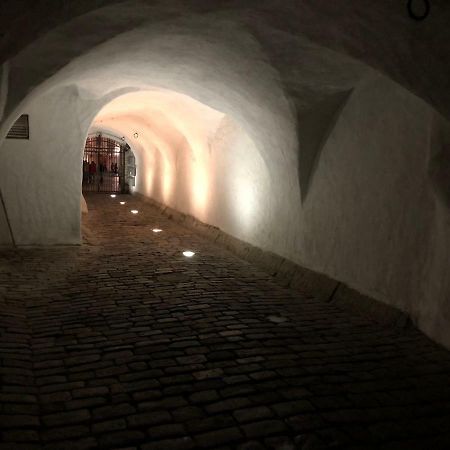 Kuninga Apartment Tallinn Eksteriør bilde